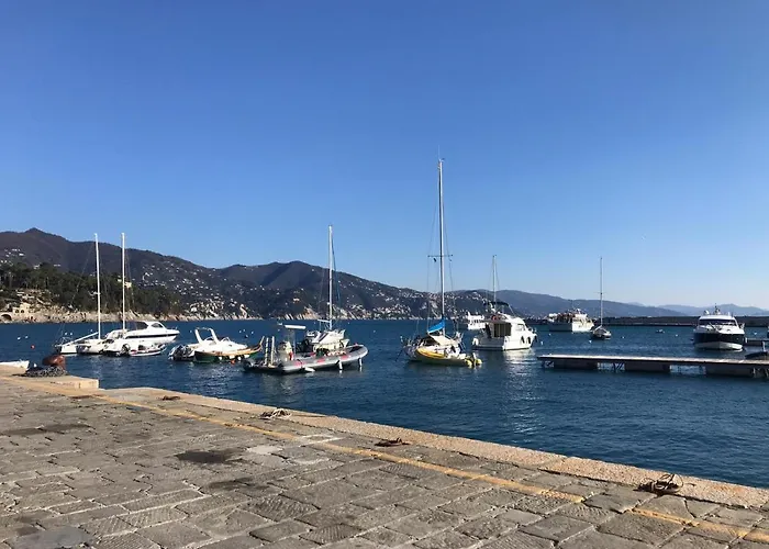 The Dolphin - Big With View In With Pool *