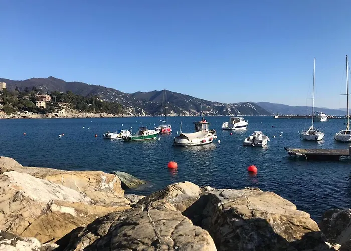 The Dolphin - Big With View In With Pool 라팔로